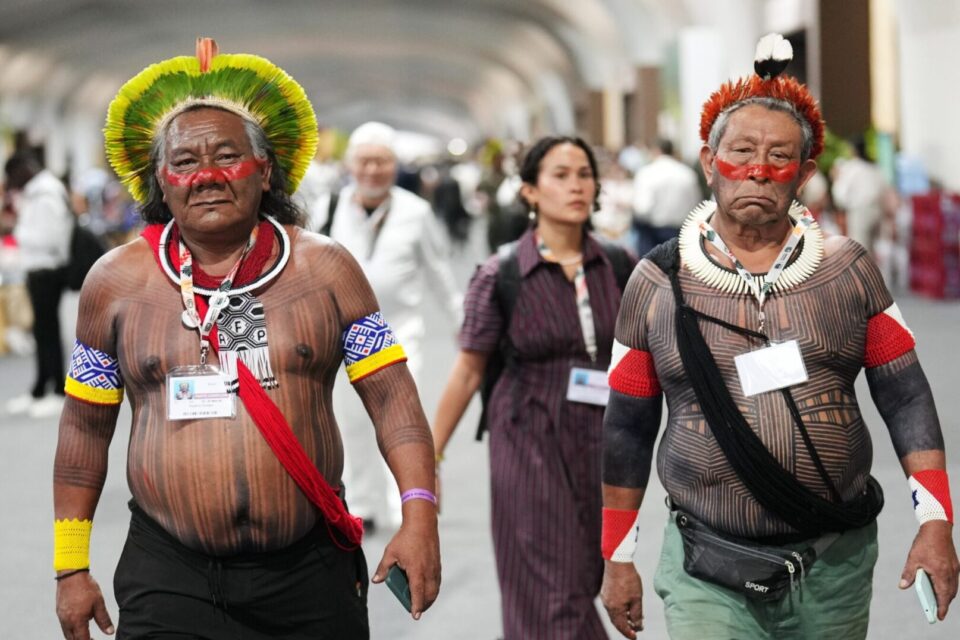 Imagen principal: representantes indígenas de Brasil, en la COP30, en Belém do Pará. Foto: AP