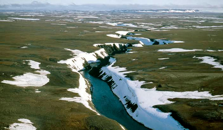 En el Ártico, el verde animado por temperaturas cada vez mayores gana terreno al blanco del hielo año tras año. Un nuevo informe divulgado por la Organización Meteorológica Mundial advierte de que el enorme y creciente deshielo ártico, consecuencia del cambio climático, impacta mucho más allá de esa región, en realidad a todo el planeta. Imagen: Grid