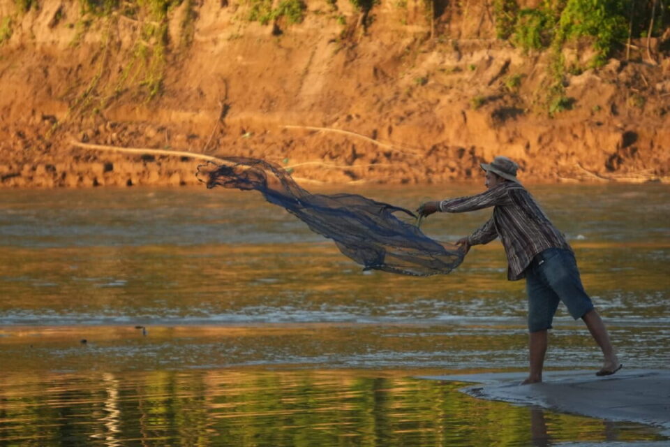 En Bolivia clasifican niveles de mercurio en diez especies de peces de la Amazonía