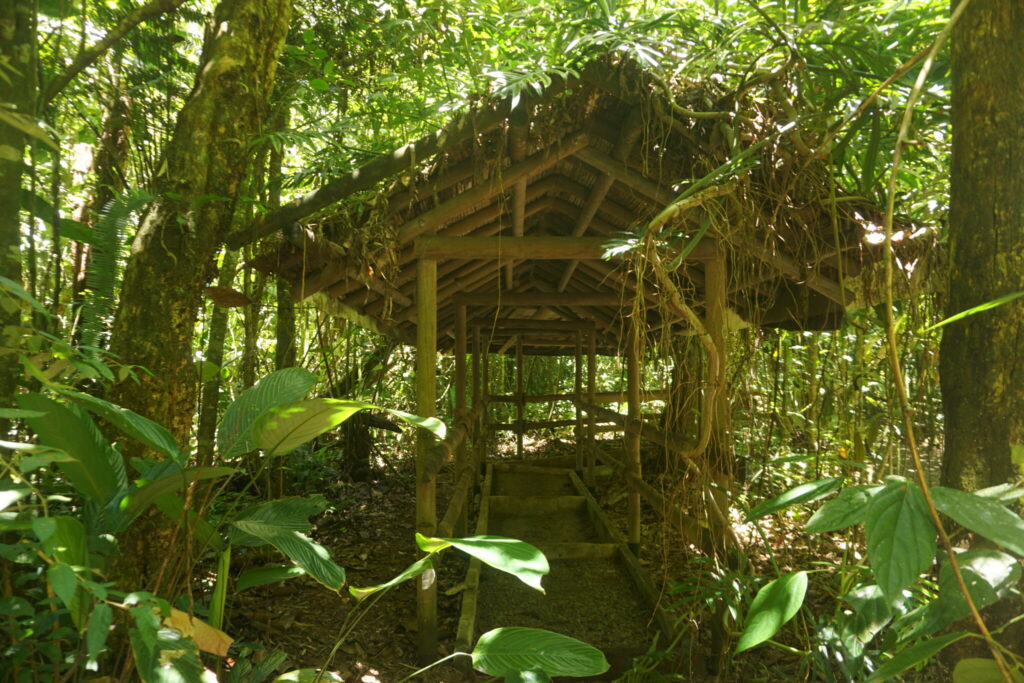 Jardín Botánico de la Universidad Tecnológica de Pereria. 