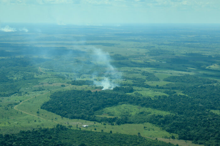 La coca y la ganadería agravan la devastación de la Amazonía colombiana