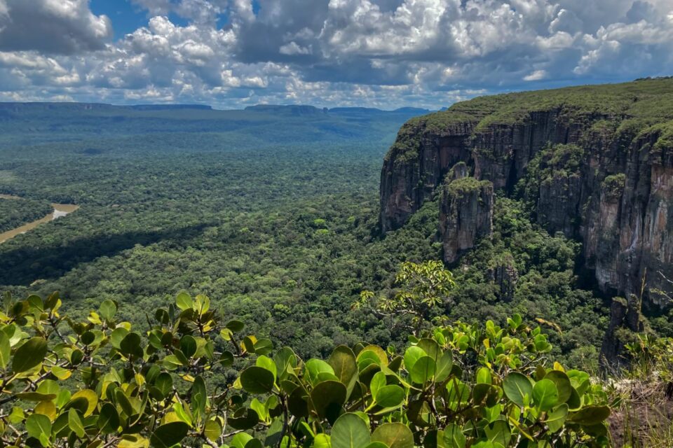 Bioma amazónico. Imagen: Minambiente