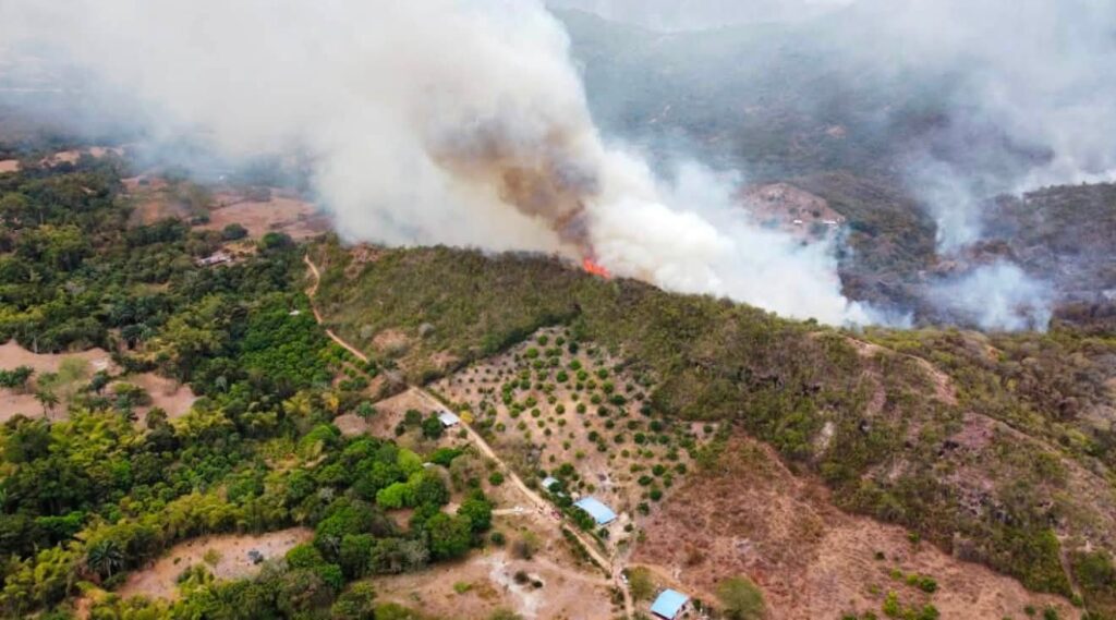 Incendio en Coello, Tolima. Imagen: Alcaldía de Coello.