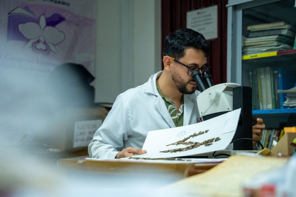 Jeison Herley Rosero Toro, profesional botánico de la Corporación Autónoma Regional del Alto Magdalena (CAM).