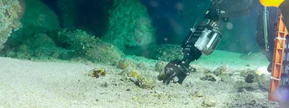 Algunos de los instrumentos utilizados en la investigación d eprofundidades marinas. Imágenes tomadas de Inkfish.