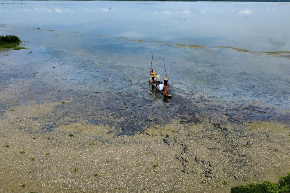 Investigan mortandad de peces en ciénaga de Tesca, Magdalena