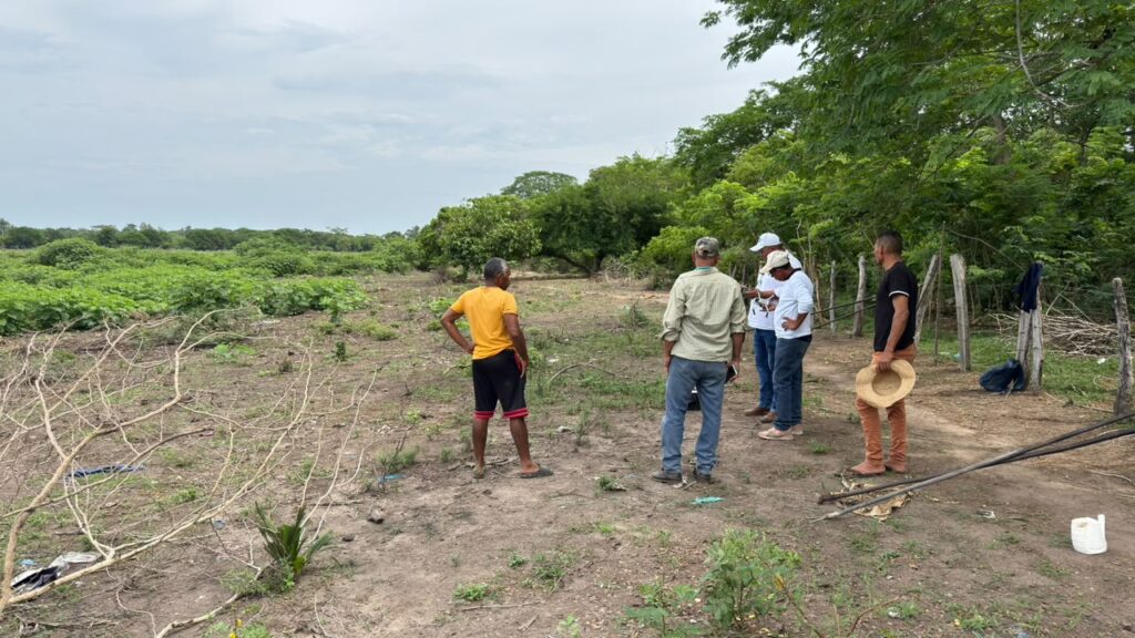 Autoridades hacen reconocimiento de la mortandad de peces en Guamal, Magdalena. Foto: Corpamag.