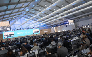 Estados Unidos objetó puntos de la agenda que implicaban la participación de sociedad civil en las negociaciones. Rusia también objetó la agenda oficial de la COP17. Foto: cortesía UNCCD.