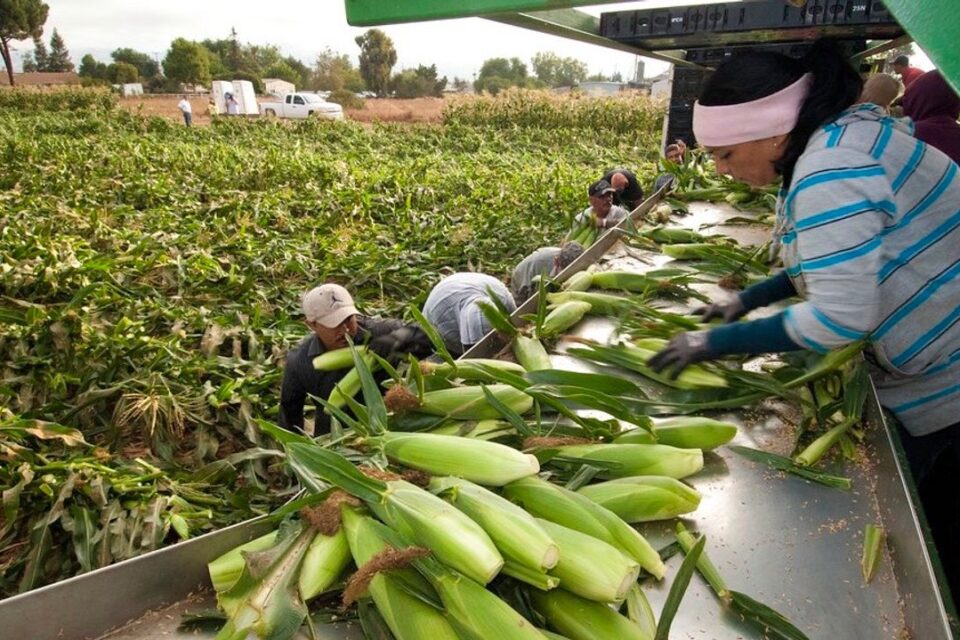 Precios de los alimentos se disparan por las guerras y el clima