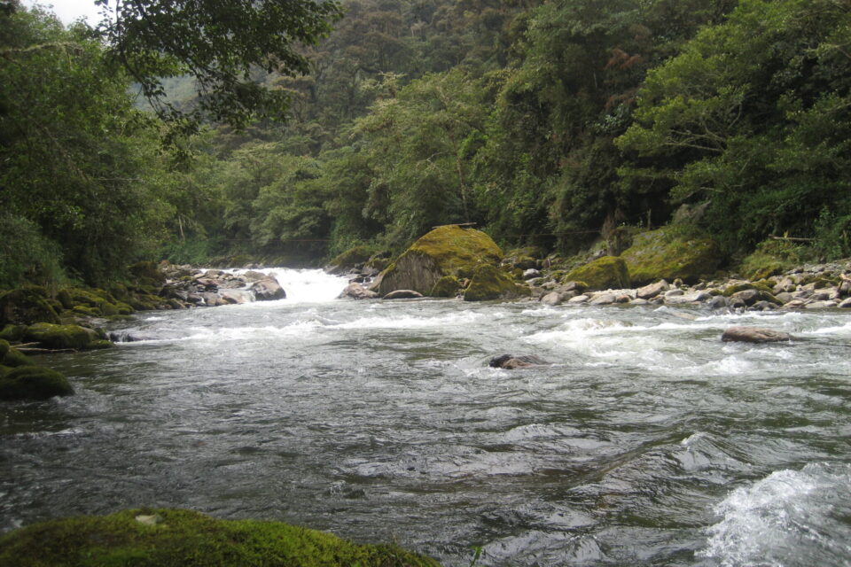 Ministerios de ambiente: promesas millonarias, billeteras vacías